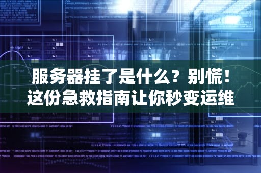 服务器挂了是什么？别慌！这份急救指南让你秒变运维老司机！