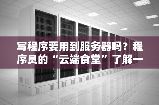 写程序要用到服务器吗？程序员的“云端食堂”了解一下！
