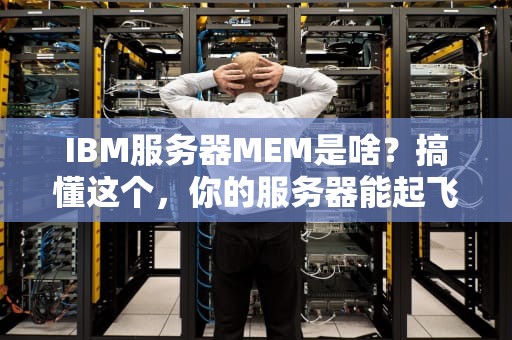IBM服务器MEM是啥？搞懂这个，你的服务器能起飞！