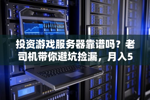 投资游戏服务器靠谱吗？老司机带你避坑捡漏，月入5W不是梦！