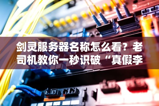 剑灵服务器名称怎么看？老司机教你一秒识破“真假李逵”！