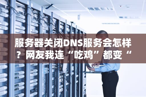 服务器关闭DNS服务会怎样？网友我连“吃鸡”都变“吃土”了！