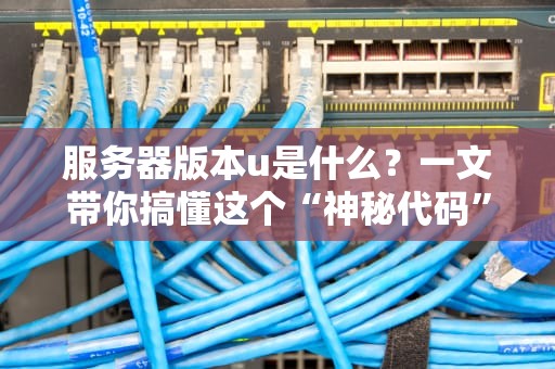 服务器版本u是什么？一文带你搞懂这个“神秘代码”的真相！