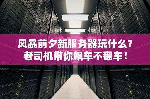 风暴前夕新服务器玩什么？老司机带你飙车不翻车！