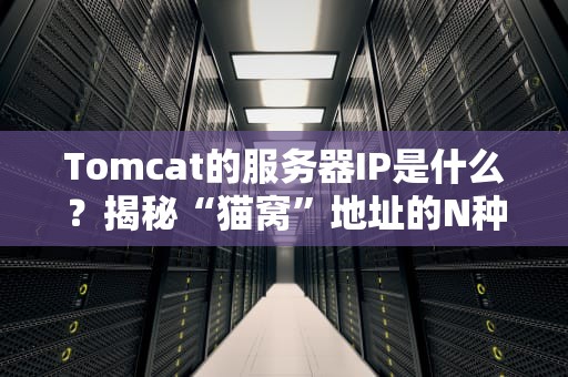 Tomcat的服务器IP是什么？揭秘“猫窝”地址的N种找法（附实战教程）
