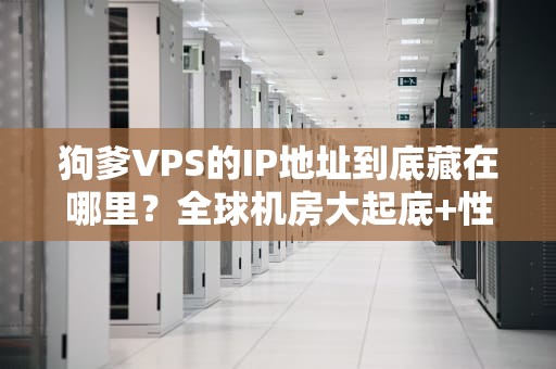 狗爹VPS的IP地址到底藏在哪里？全球机房大起底+性能实测！