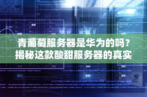 青葡萄服务器是华为的吗？揭秘这款酸甜服务器的真实身份！