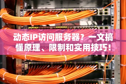 动态IP访问服务器？一文搞懂原理、限制和实用技巧！