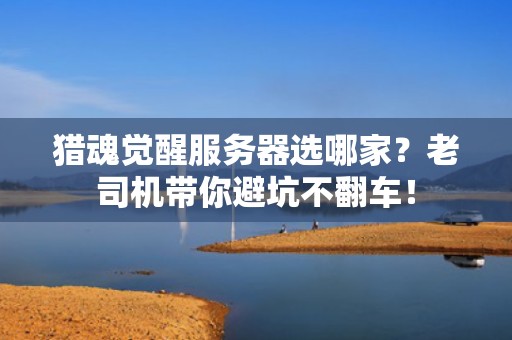 猎魂觉醒服务器选哪家？老司机带你避坑不翻车！