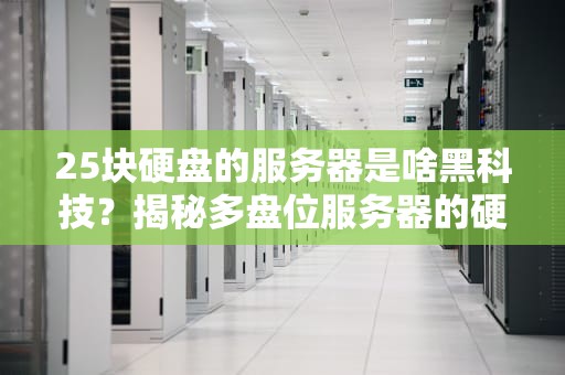 25块硬盘的服务器是啥黑科技？揭秘多盘位服务器的硬核玩法！