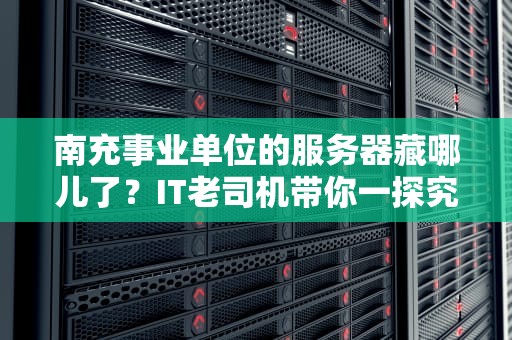 南充事业单位的服务器藏哪儿了？IT老司机带你一探究竟！