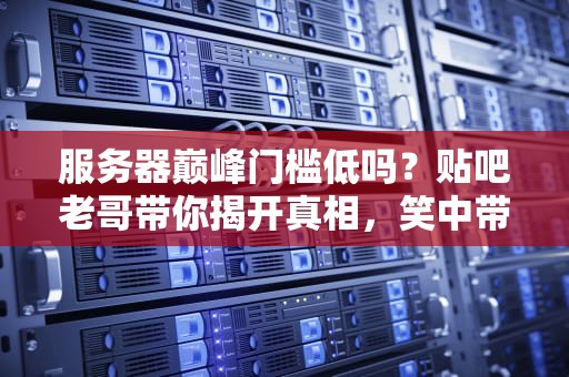 服务器巅峰门槛低吗？贴吧老哥带你揭开真相，笑中带泪的测评实录！