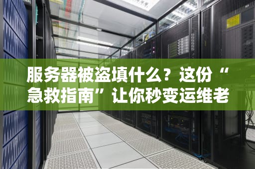 服务器被盗填什么？这份“急救指南”让你秒变运维老司机！