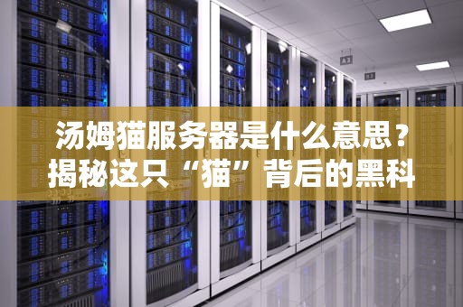 汤姆猫服务器是什么意思？揭秘这只“猫”背后的黑科技与爆笑真相！