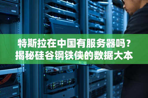 特斯拉在中国有服务器吗？揭秘硅谷钢铁侠的数据大本营！