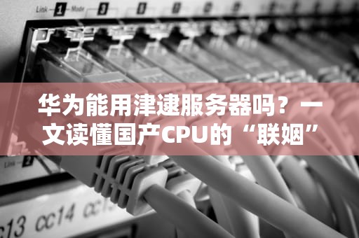 华为能用津逮服务器吗？一文读懂国产CPU的“联姻”可能性