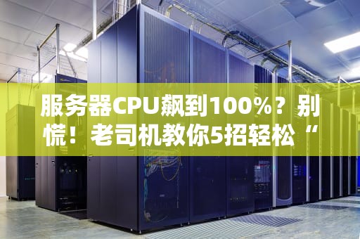 服务器CPU飙到100%？别慌！老司机教你5招轻松“降温”