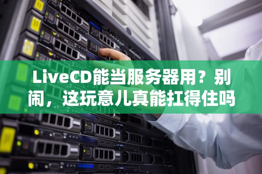 LiveCD能当服务器用？别闹，这玩意儿真能扛得住吗？