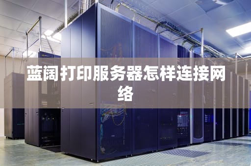蓝阔打印服务器怎样连接网络