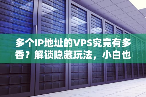 多个IP地址的VPS究竟有多香？解锁隐藏玩法，小白也能变大神！