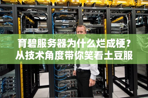 育碧服务器为什么烂成梗？从技术角度带你笑看土豆服务器的真相！