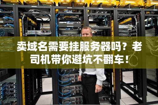 卖域名需要挂服务器吗？老司机带你避坑不翻车！