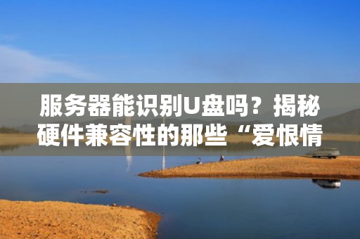 服务器能识别U盘吗？揭秘硬件兼容性的那些“爱恨情仇”