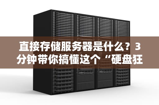 直接存储服务器是什么？3分钟带你搞懂这个“硬盘狂魔”！