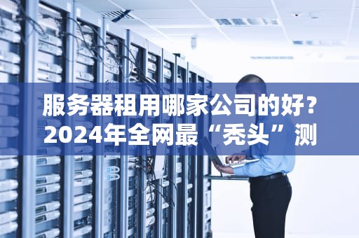 服务器租用哪家公司的好？2024年全网最“秃头”测评指南！