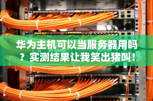 华为主机可以当服务器用吗？实测结果让我笑出猪叫！
