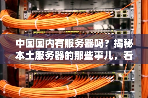 中国国内有服务器吗？揭秘本土服务器的那些事儿，看完笑出腹肌！
