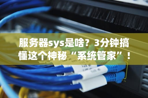 服务器sys是啥？3分钟搞懂这个神秘“系统管家”！