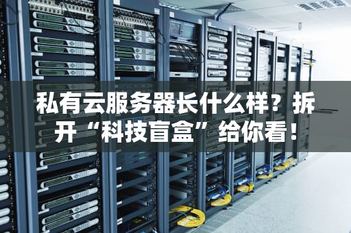 私有云服务器长什么样？拆开“科技盲盒”给你看！