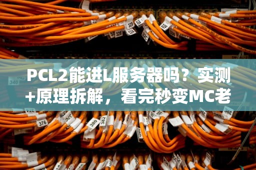 PCL2能进L服务器吗？实测+原理拆解，看完秒变MC老司机！