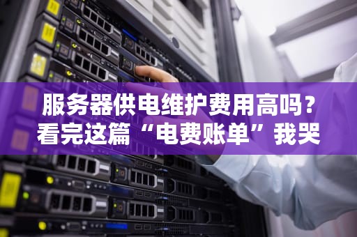 服务器供电维护费用高吗？看完这篇“电费账单”我哭了！