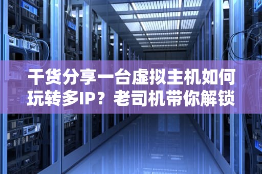干货分享一台虚拟主机如何玩转多IP？老司机带你解锁骚操作！