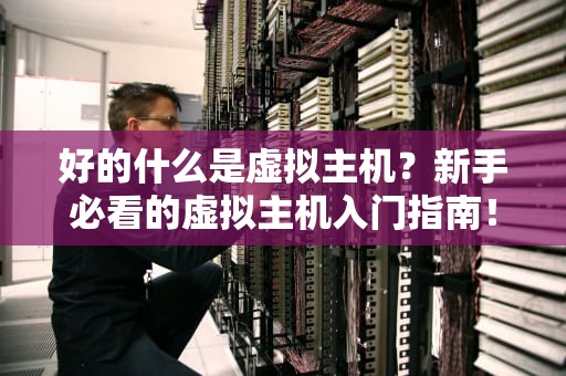 好的什么是虚拟主机？新手必看的虚拟主机入门指南！