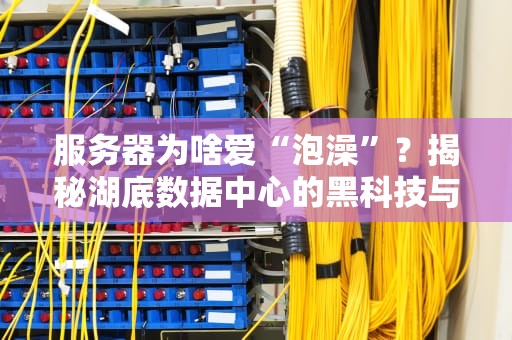 服务器为啥爱“泡澡”？揭秘湖底数据中心的黑科技与骚操作！