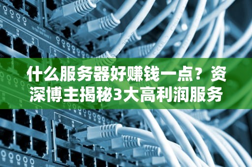 什么服务器好赚钱一点？资深博主揭秘3大高利润服务器选型攻略！