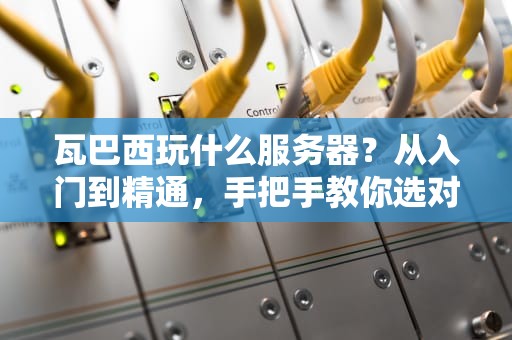瓦巴西玩什么服务器？从入门到精通，手把手教你选对游戏服务器！
