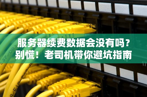 服务器续费数据会没有吗？别慌！老司机带你避坑指南