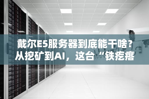 戴尔E5服务器到底能干啥？从挖矿到AI，这台“铁疙瘩”比你想象中更万能！