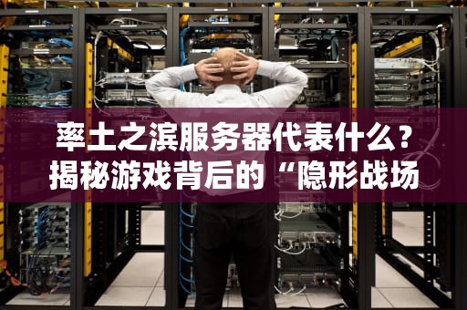 率土之滨服务器代表什么？揭秘游戏背后的“隐形战场”