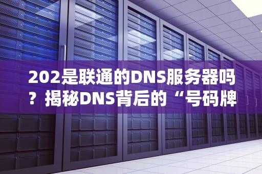 202是联通的DNS服务器吗？揭秘DNS背后的“号码牌”大战！