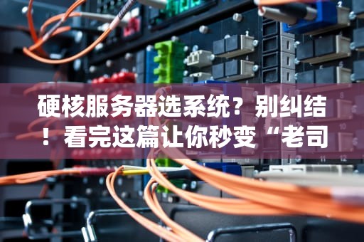 硬核服务器选系统？别纠结！看完这篇让你秒变“老司机”