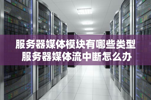 服务器媒体模块有哪些类型 服务器媒体流中断怎么办