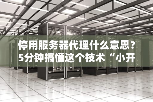 停用服务器代理什么意思？5分钟搞懂这个技术“小开关”的威力！