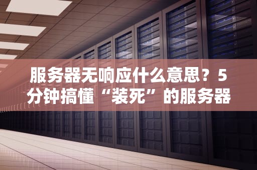 服务器无响应什么意思？5分钟搞懂“装死”的服务器和急救方案！