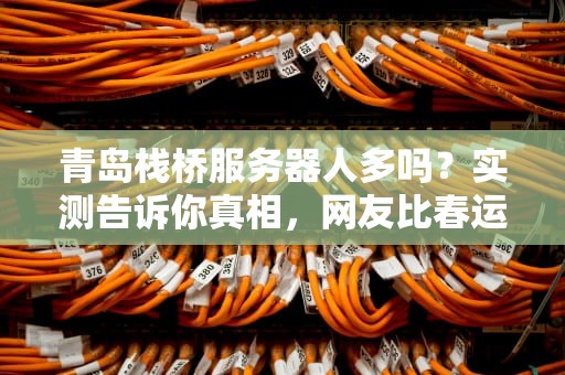 青岛栈桥服务器人多吗？实测告诉你真相，网友比春运还挤！