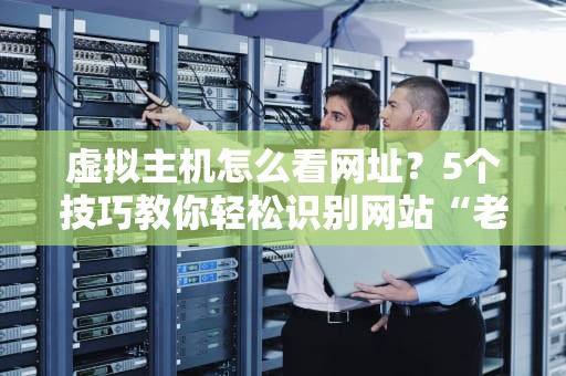 虚拟主机怎么看网址？5个技巧教你轻松识别网站“老巢”！